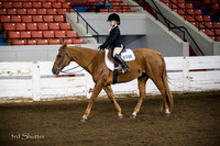 Hunter - AQHA Youth (13 under)