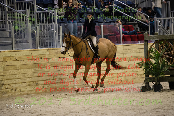 _1SF7293
