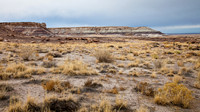 _MG_0508