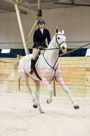 _1SF4599