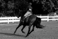IMG_3335