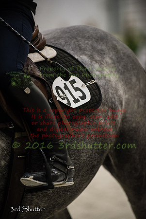 SF1_6409
