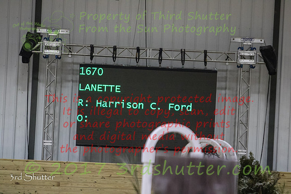 0E5A9626