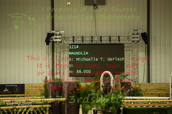 _1SF0781