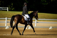 BN1C4411