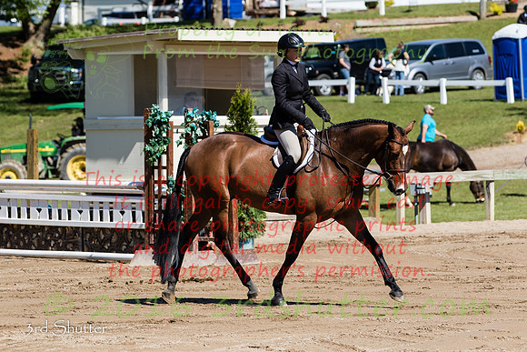 BV2A9231