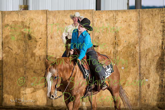 BN1C3925