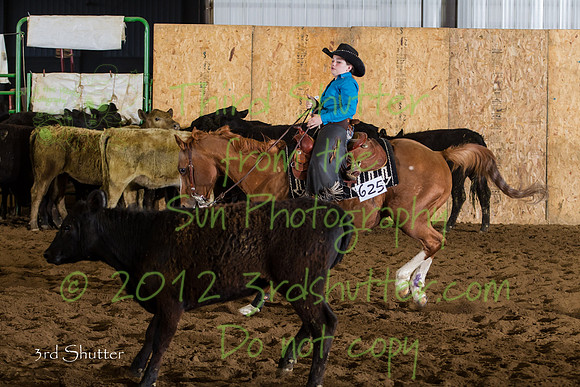 BN1C3919