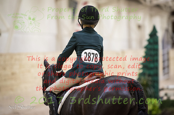 _1SF4539