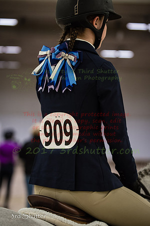 _1SF8215