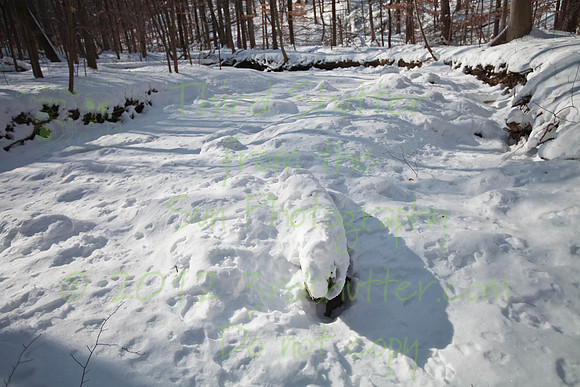 IMG_0117