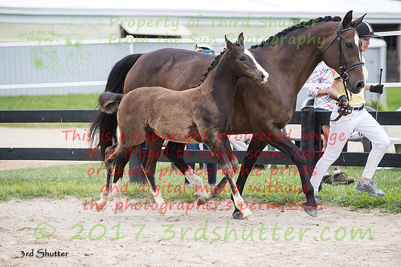 A18I4607
