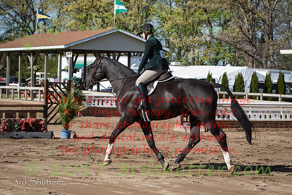 BV2A1375-2