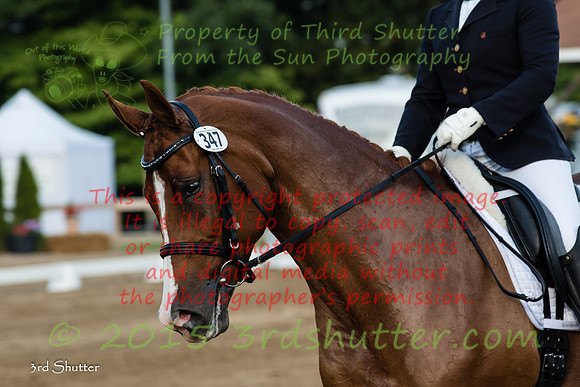 BV2A0469