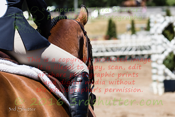 BV2A6330