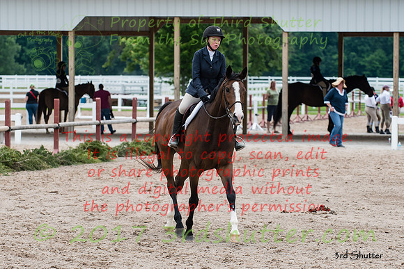_MSF7028