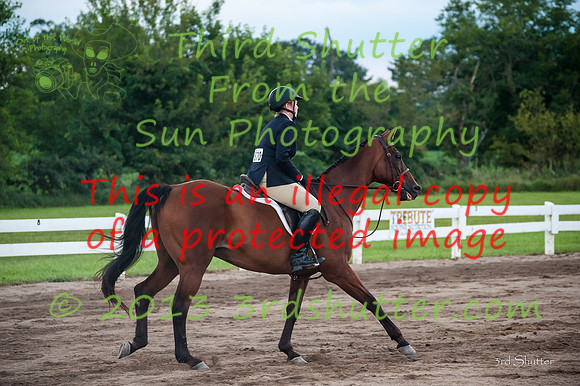 130817_WalkTrotClassic_0542