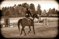 130817_WalkTrotClassic_0354