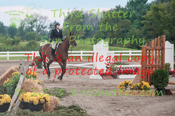 130817_WalkTrotClassic_0548