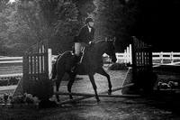 130817_WalkTrotClassic_0361-Edit