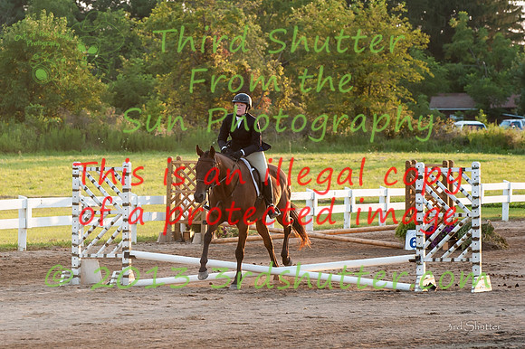 130817_WalkTrotClassic_0357