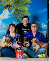 Dachsunds