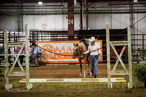 A18I7601