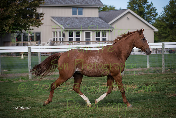 F43Q9602-2
