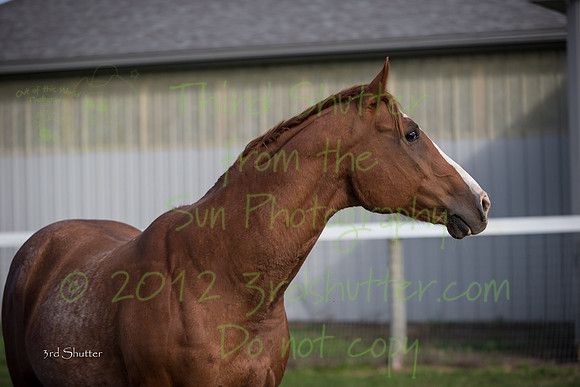 F43Q9608-2