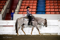 Western Pleasure - AQHA Youth (13 under)