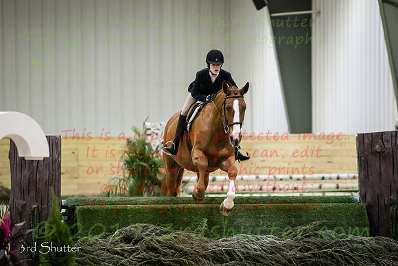 _1SF8145