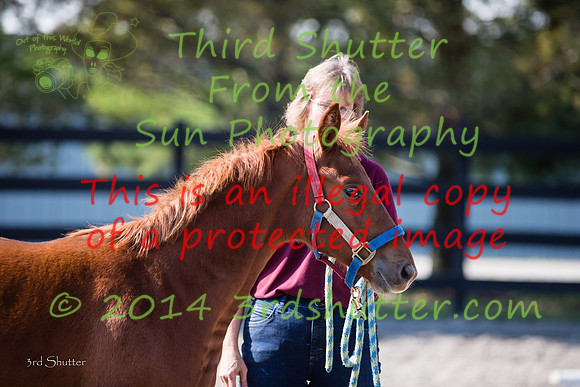 F43Q4117