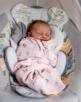 Gwendolyn Jane Baby Photos