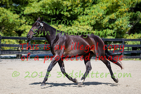 F43Q9663