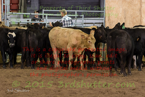 BV2A4943