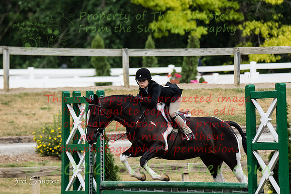 8C0A6005