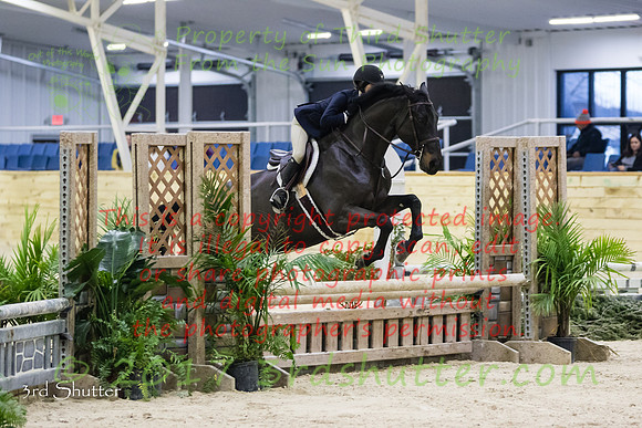 0M3A2586