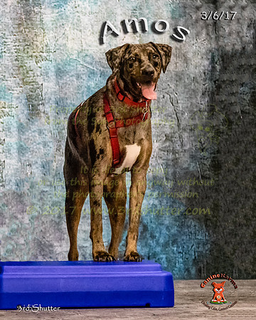 A18I0058-Edit-Edit-Edit
