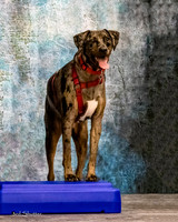 A18I0058-Edit-Edit