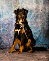A18I1425