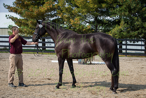 F43Q1705