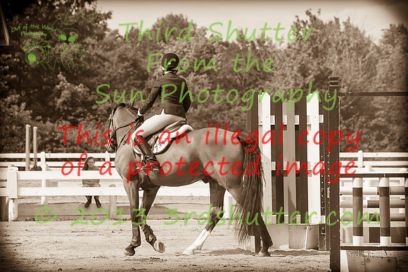 130816_WalkTrot_0206