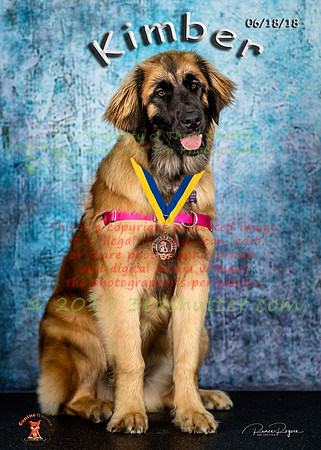 A18I9104-Edit-Edit