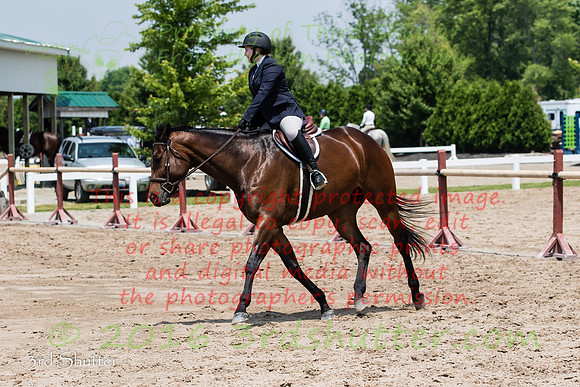BV2A0594