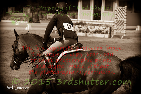 BV2A2137-2