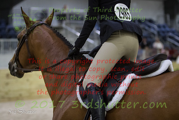 0E5A9234