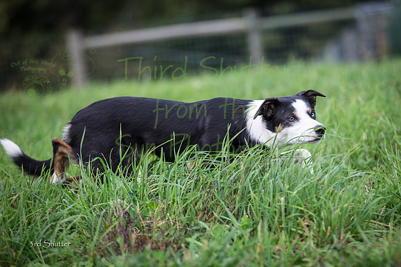 F43Q0354
