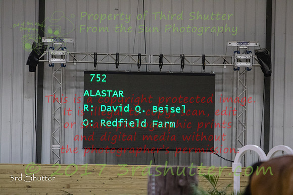 0E5A6032