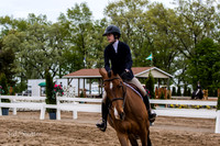 0M3A0420