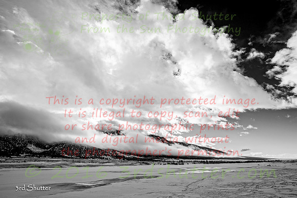 _41A8891-Edit